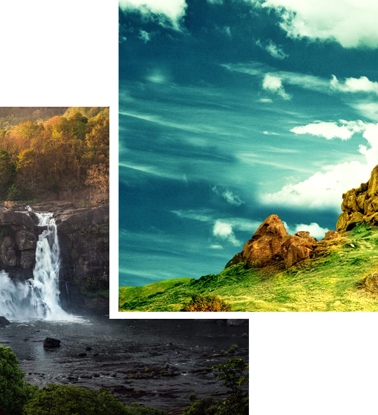 kerala honeymoon packages